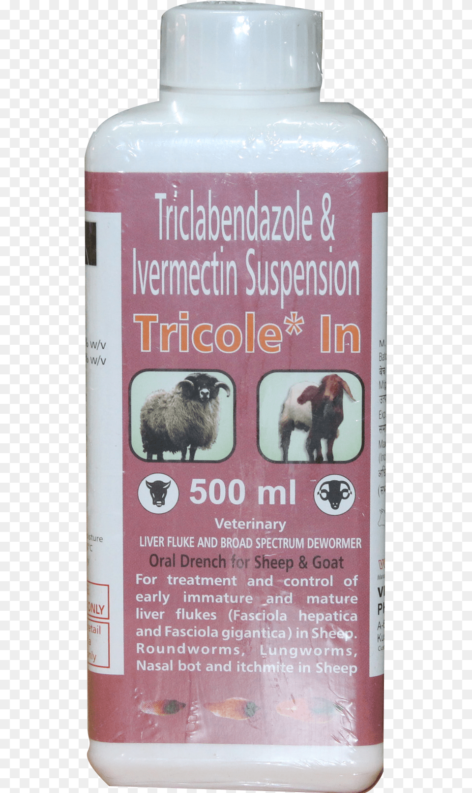 Triclabendazole Amp Ivermectin Suspension Bison, Animal, Sheep, Mammal, Livestock Free Png