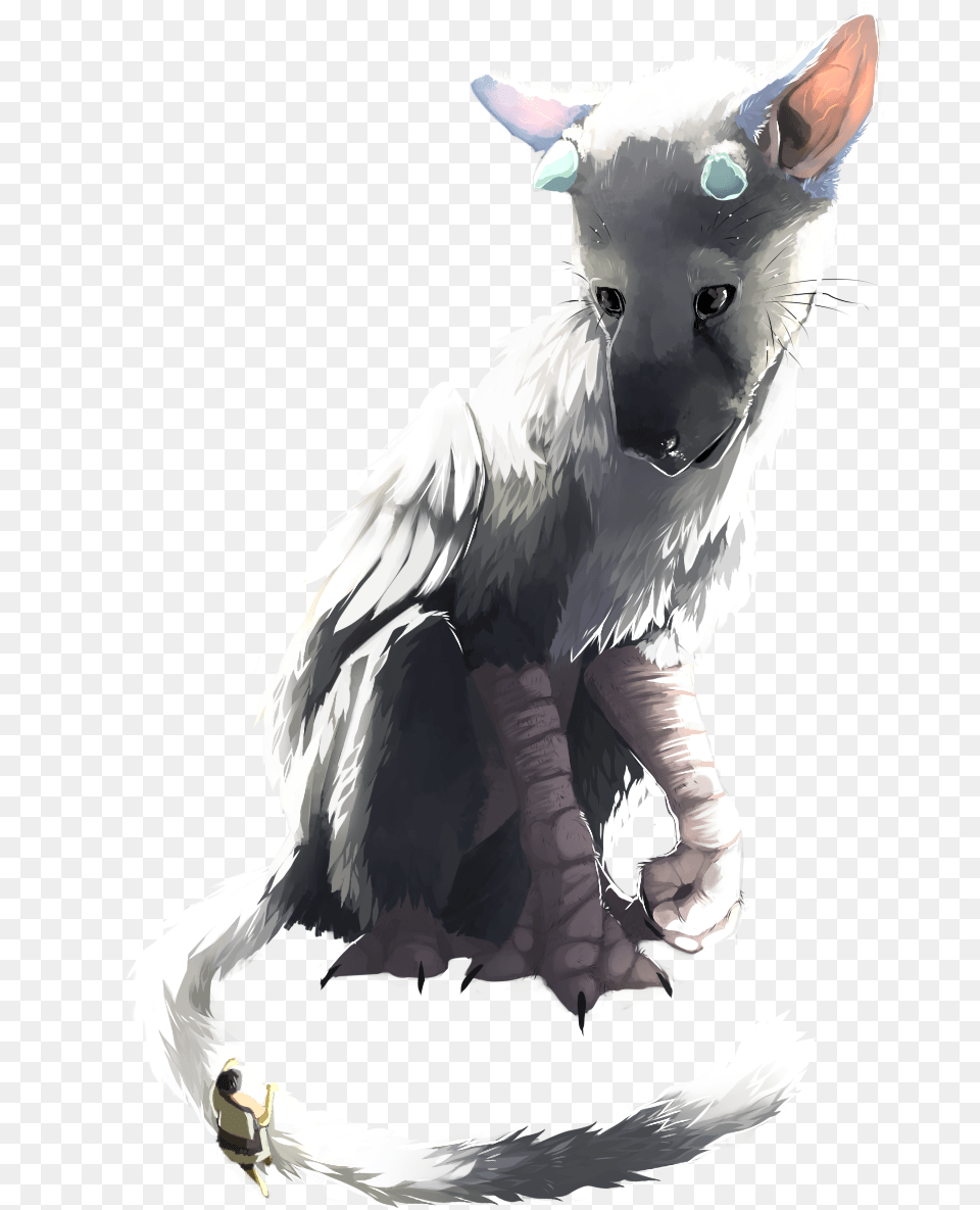 Trico The Last Guardian Transparent, Pet, Mammal, White Dog, Dog Png