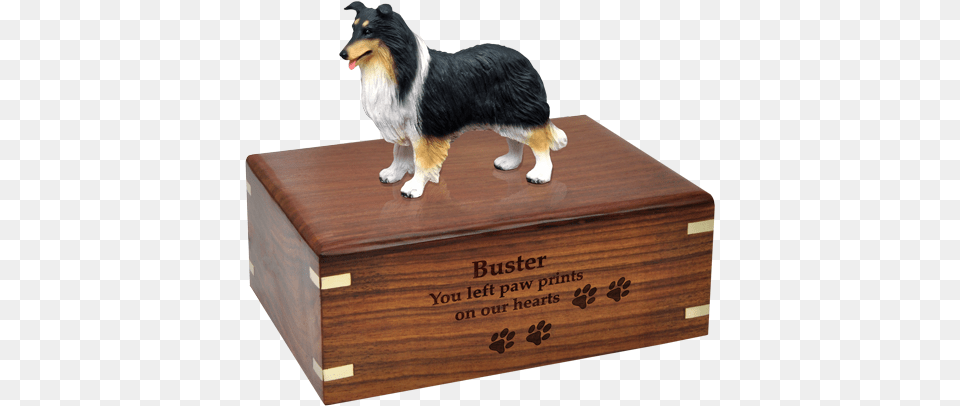 Tricolor Collie Dog Figurine With Engraved Urn Base Pug Urn, Box, Animal, Pet, Mammal Png Image