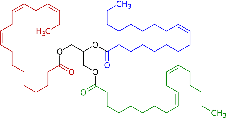 Triglyceride Unsaturated Structural Formulae V2 Clipart Free Transparent Png