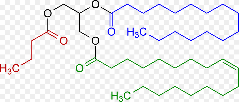 Triglyceride V Structure Png