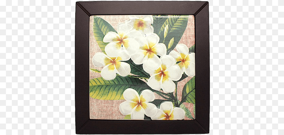 Trillium, Canvas, Art, Painting, Monitor Free Png