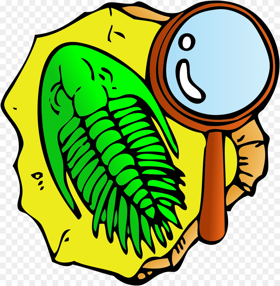 Trilobite Clipart Vector, Magnifying, Baby, Person Png