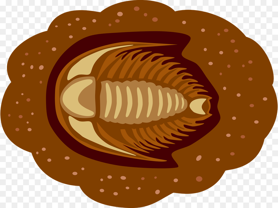 Trilobite Fossil Clipart Free Png