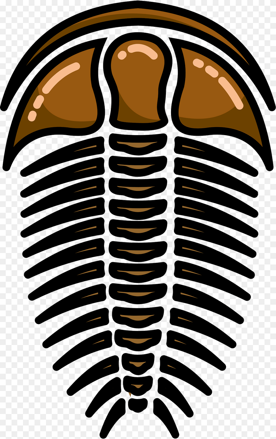 Trilobite Fossil Clipart, Person Png Image