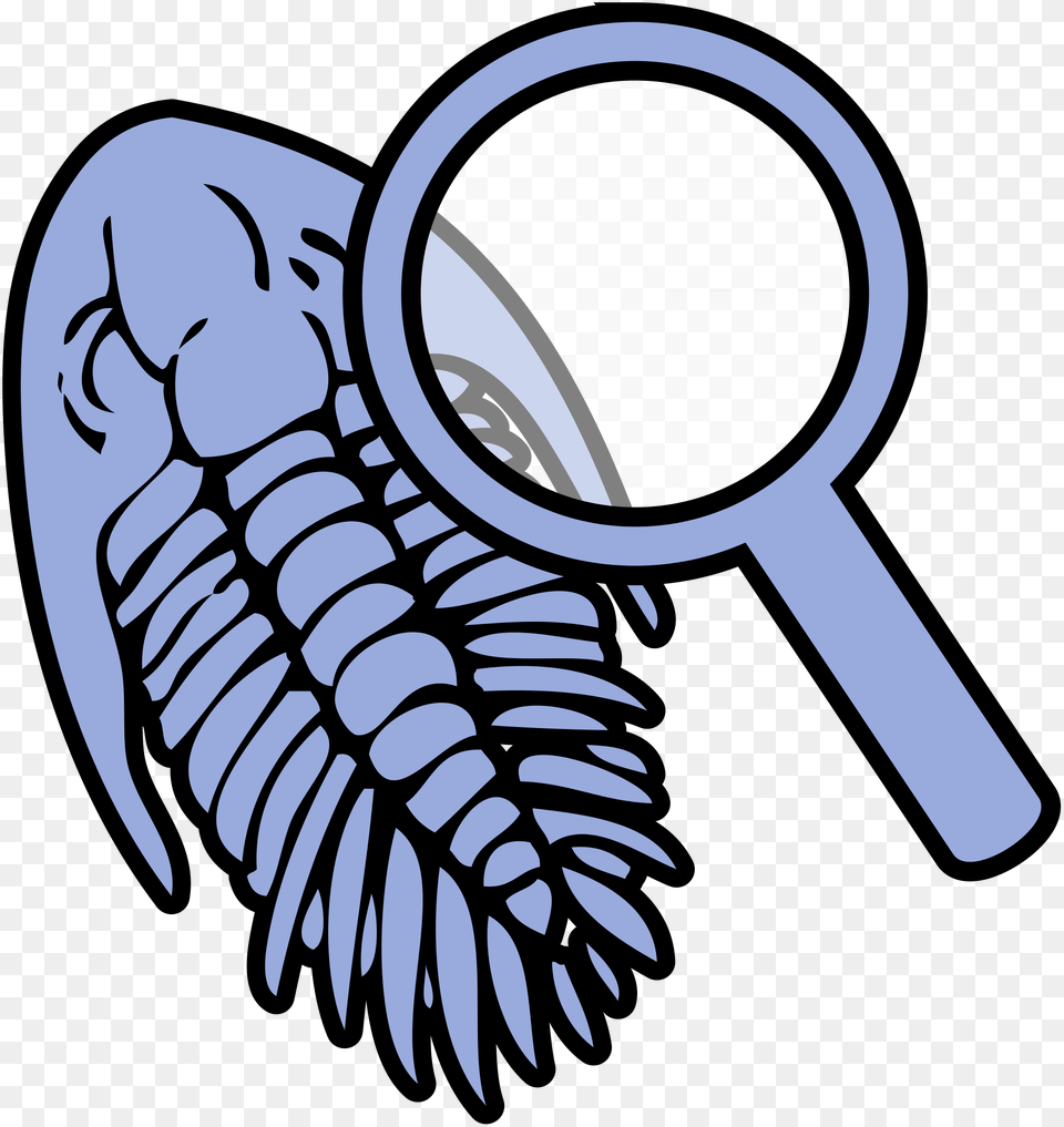 Trilobite Under Magnifying Glass Icon Free Png