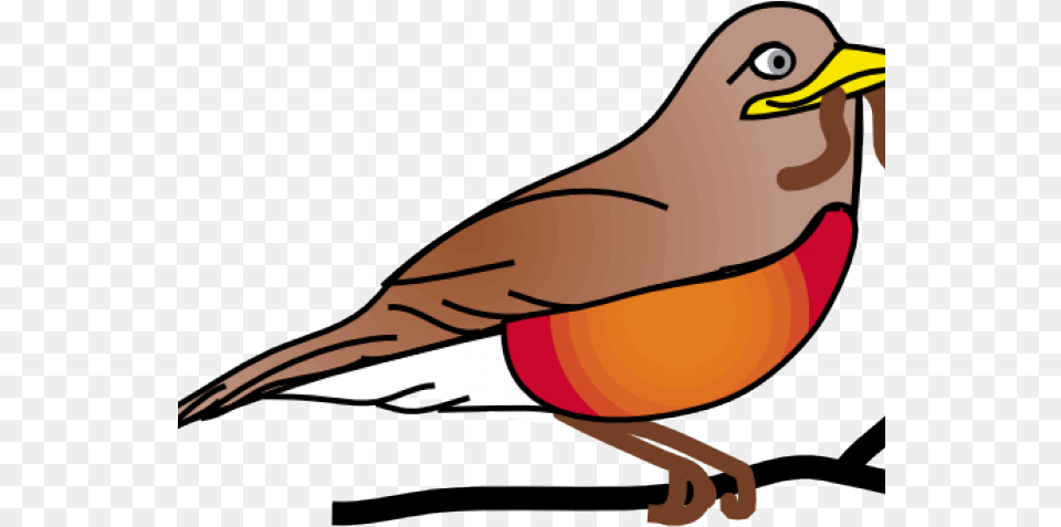 Trinidad Flag American Robin Clipart North Bird Red Robin Clip Art, Animal, Beak, Finch, Adult Free Png