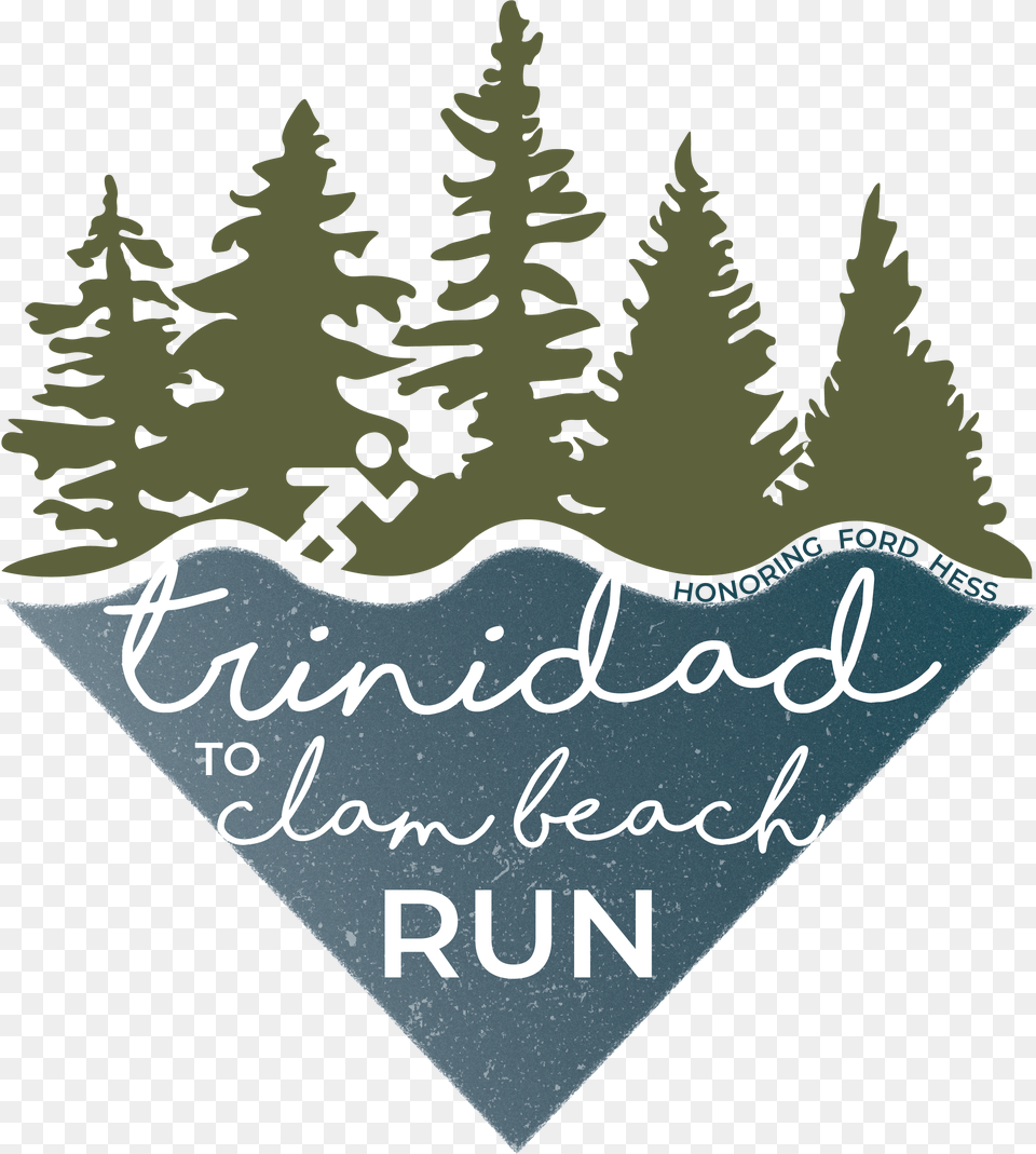 Trinidad To Clam Beach Run Christmas Tree, Plant, Fir, Blackboard, Text Free Png Download