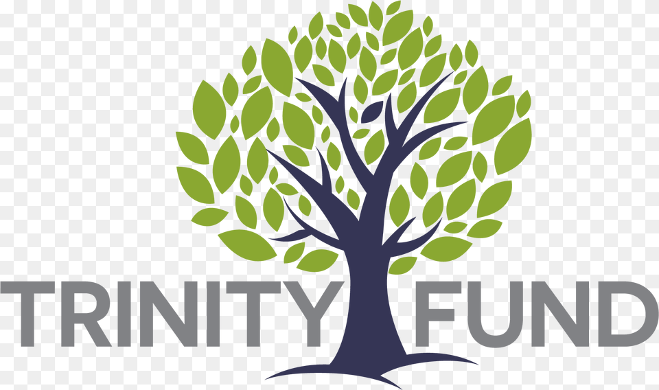 Trinity Episcopal School Language, Green, Plant, Tree, Vegetation Png Image