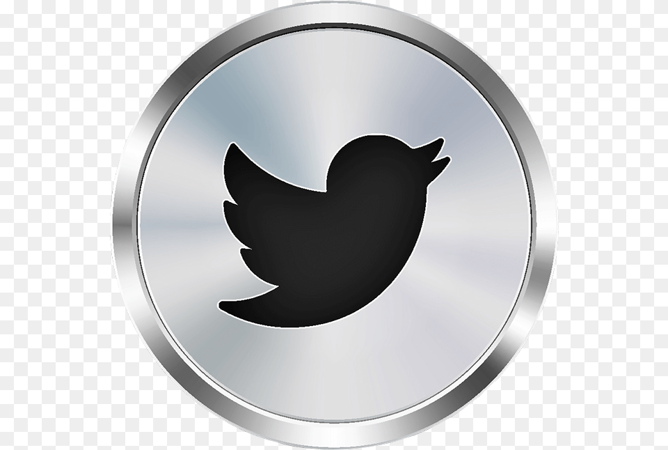 Trinydi Athena Coming Soon Silver Twitter Logo, Animal, Bird, Blackbird Free Png