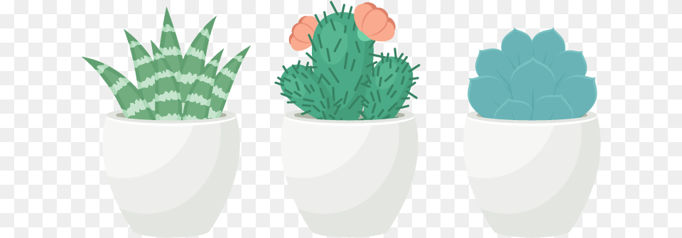 Trio Of Succulents In Adobe Illustrator Transparent Succulent Clip Art, Jar, Plant, Planter, Potted Plant Free Png