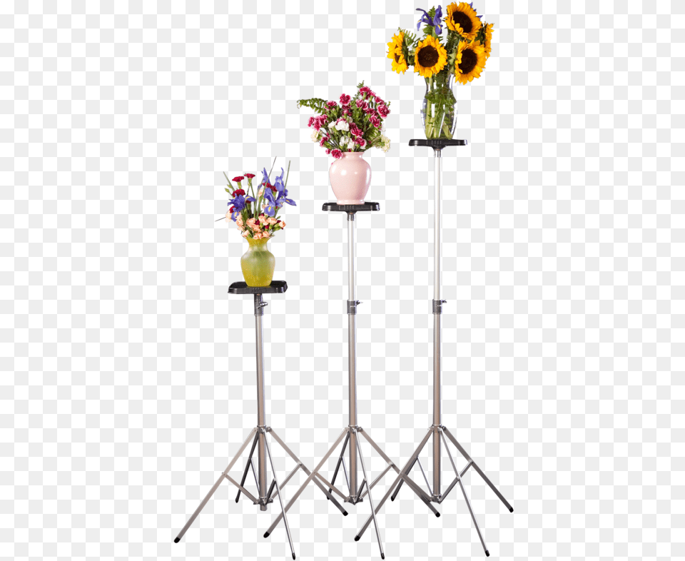 Trio Of Tall Deluxe Stands Featuring Flower Arrangements Bouquet, Flower Arrangement, Flower Bouquet, Plant, Potted Plant Png Image