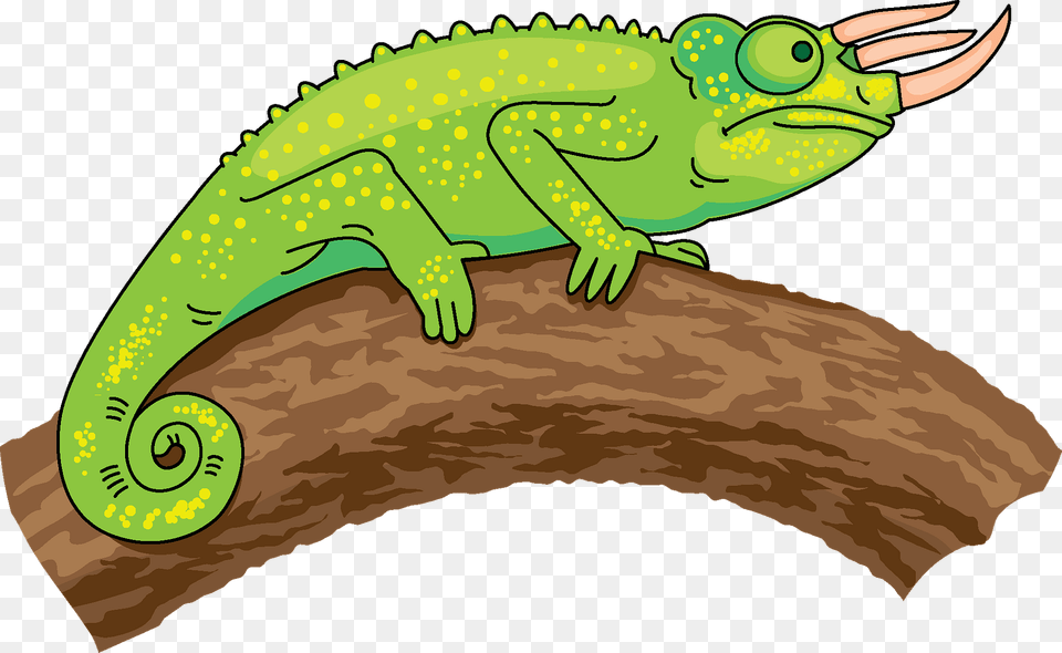 Trioceros Chameleon Clipart, Animal, Lizard, Reptile, Green Lizard Free Png