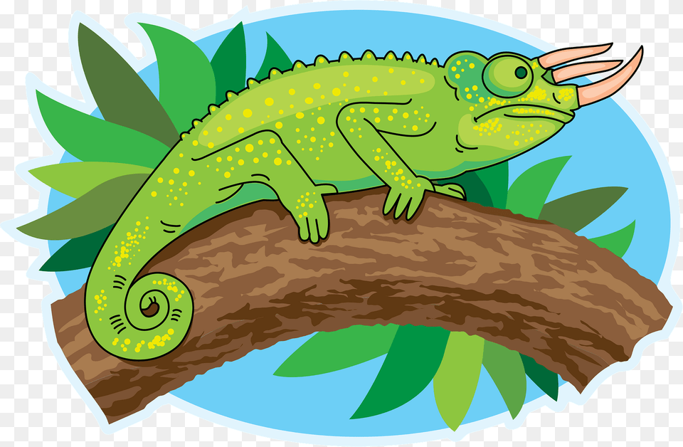 Trioceros Chameleon Clipart, Animal, Lizard, Reptile, Green Lizard Png