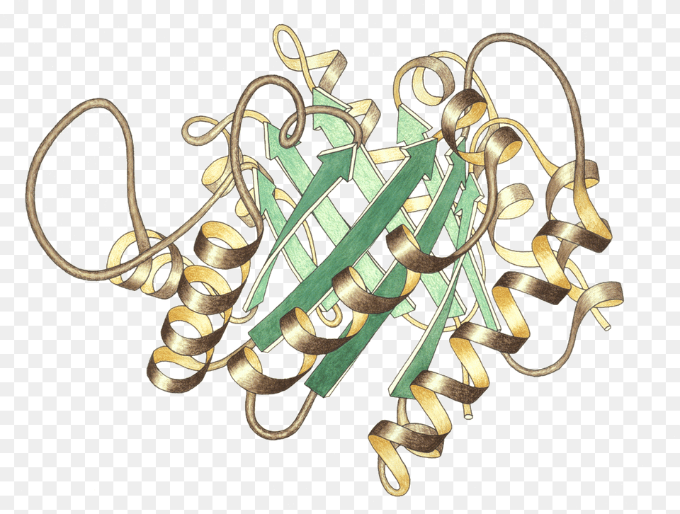 Triosephosphateisomerase Ribbon Pastel Trans, Chandelier, Lamp, Accessories Png