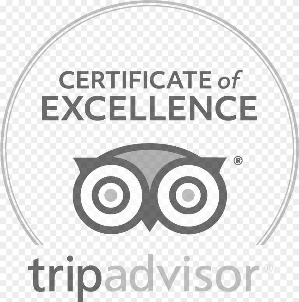 Trip Advisor, Disk, Dvd Free Transparent Png