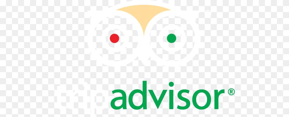 Trip Advisor, Logo, Baby, Person Free Png Download