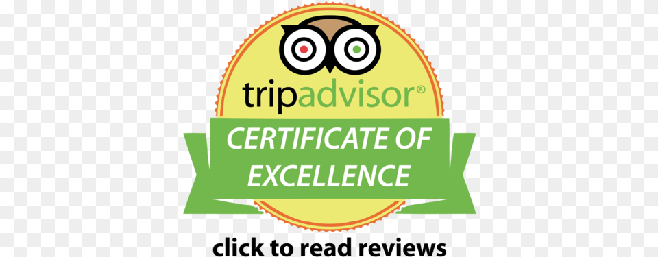 Trip Advisor Certificate Of Excellence Certificate Of Excellence Tripadvisor 2014, Logo, Baby, Person Free Transparent Png