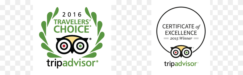 Tripadvisor Awards And Certificates Travelers Choice Tripadvisor Logo Free Png