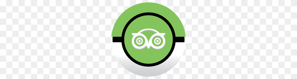 Tripadvisor Icon, Green, Logo, Disk Free Png Download