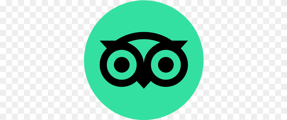 Tripadvisor Icon And Svg Vector Tripadvisor Logo, Disk Free Transparent Png