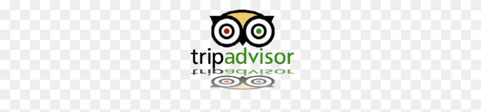 Tripadvisor Logo, Advertisement, Poster, Disk, Weapon Free Png Download