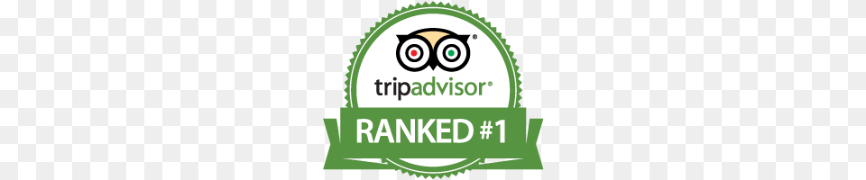 Tripadvisor Logo Ink Magazine Png Image