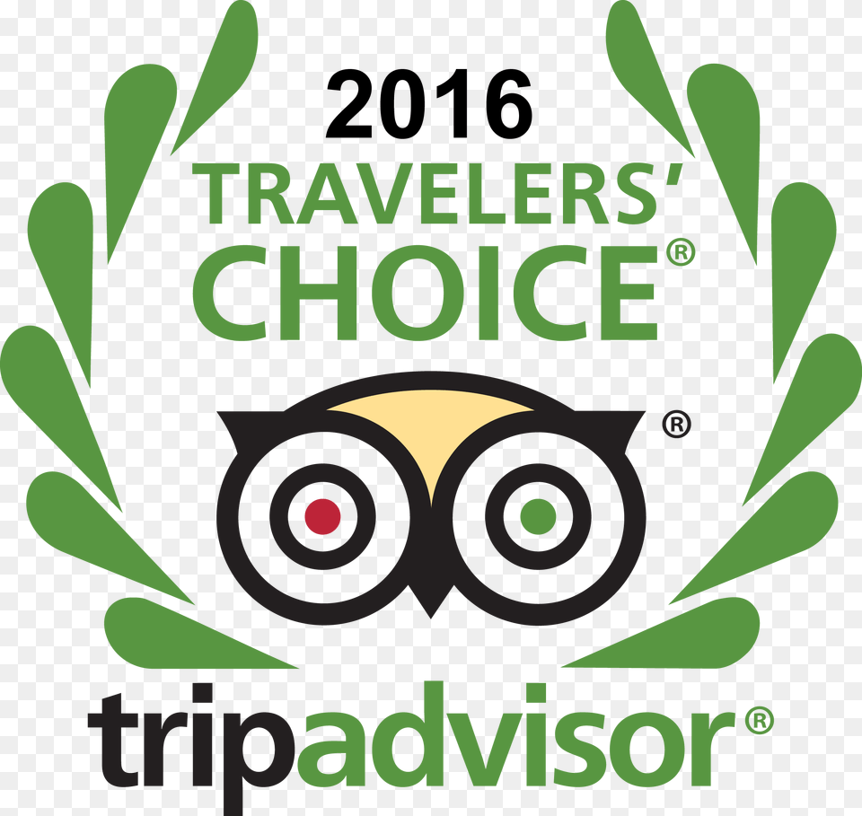 Tripadvisor Logo Transparent Trip Advisor, Advertisement, Poster, Plant, Herbs Png Image