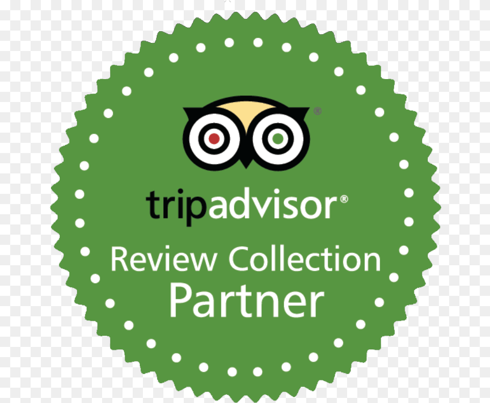 Tripadvisor Review Collection Partner, Green, People, Person, Photography Free Png