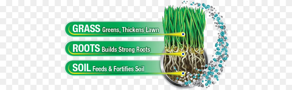 Triple Action Lawn Fertilizer Vertical, Grass, Plant, Vegetation, Root Free Png Download