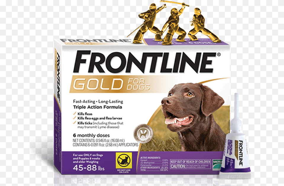 Triple Action Topical Flea U0026 Tick Treatment For Dogs Cats Frontline Gold For Dogs, Animal, Canine, Dog, Mammal Free Transparent Png