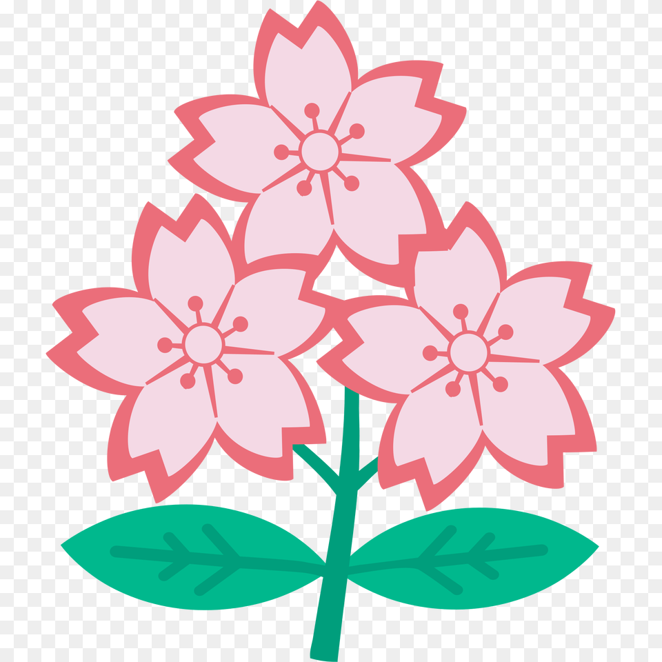 Triple Cherry Blossom, Plant, Flower, Dahlia, Pattern Free Png