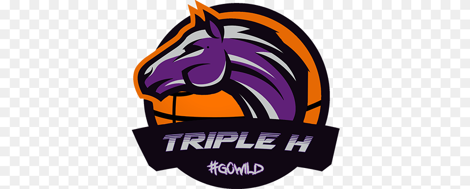 Triple H Basketball Connecting Our Youth Through Basketball, Advertisement, Poster, Animal, Horse Png Image