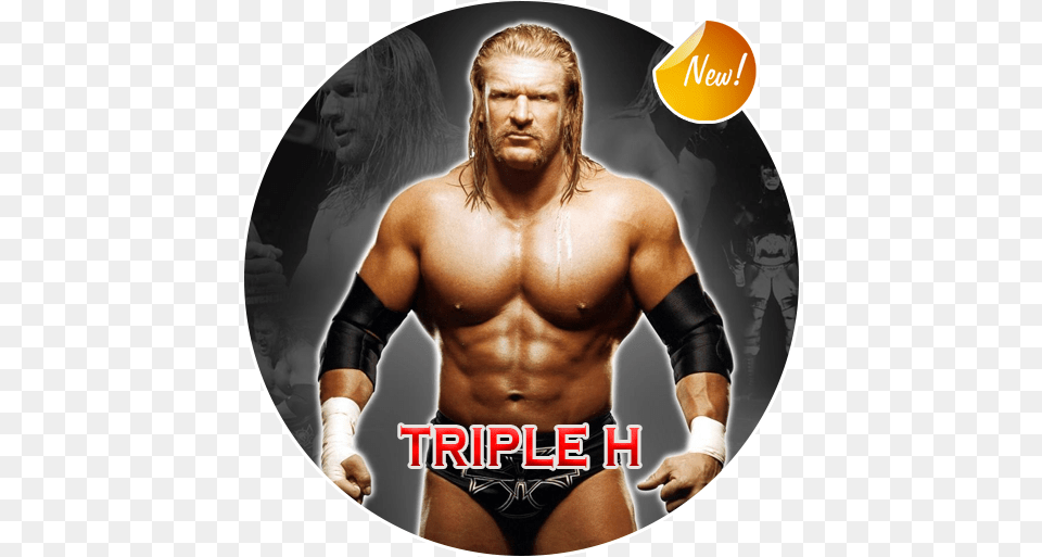 Triple H Wallpaper Hd 2020 U200c Google Play Triple H, Adult, Person, Female, Woman Free Transparent Png