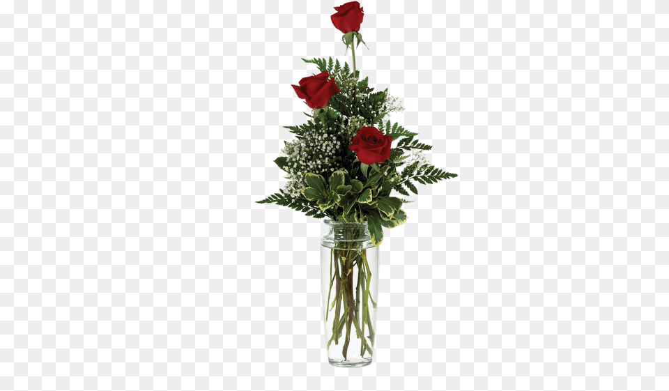 Triple Rose Bud Vase 22 Flower, Flower Arrangement, Flower Bouquet, Jar, Plant Free Transparent Png