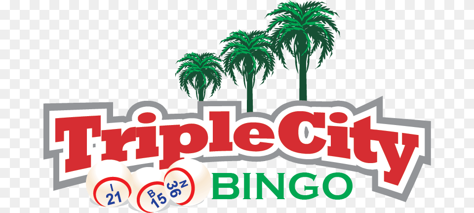 Triplecity Bingo, Palm Tree, Plant, Tree, Vegetation Free Transparent Png