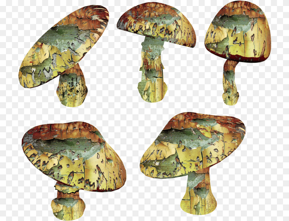 Trippy Mushroom Shiitake, Fungus, Plant, Agaric Free Transparent Png