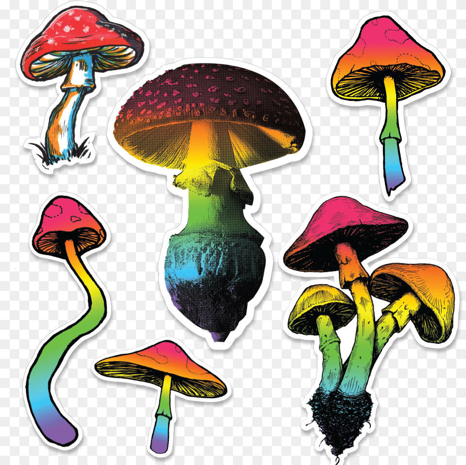 Trippy Summer Sticker Pack Wild Mushroom, Fungus, Plant, Agaric, Art Free Png