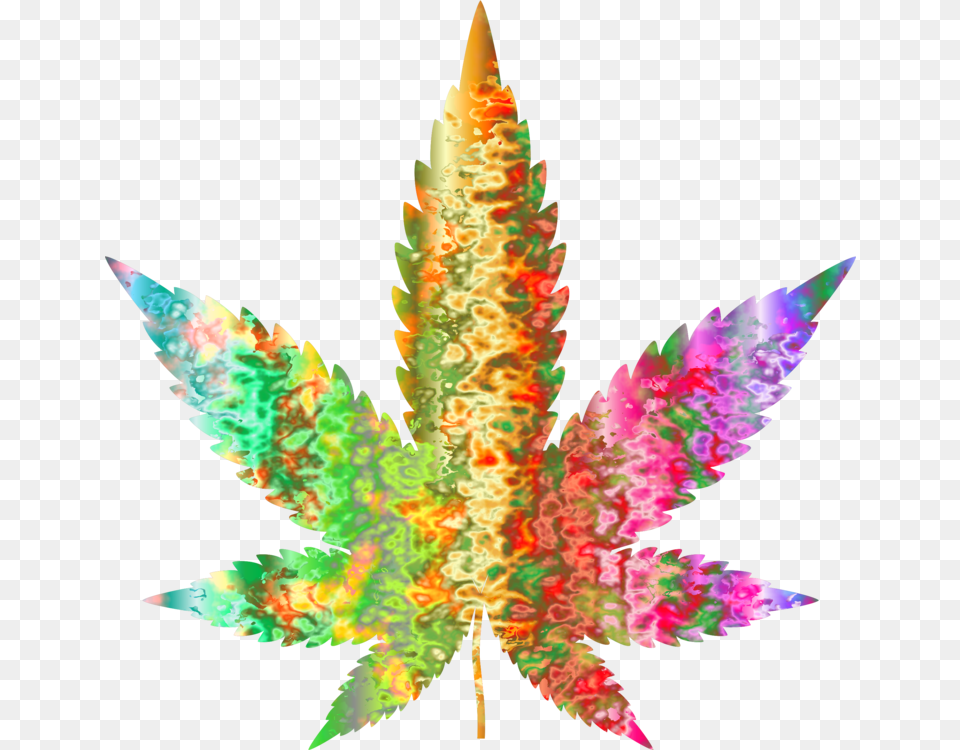 Trippy Weed Leaf, Plant, Tree Free Png