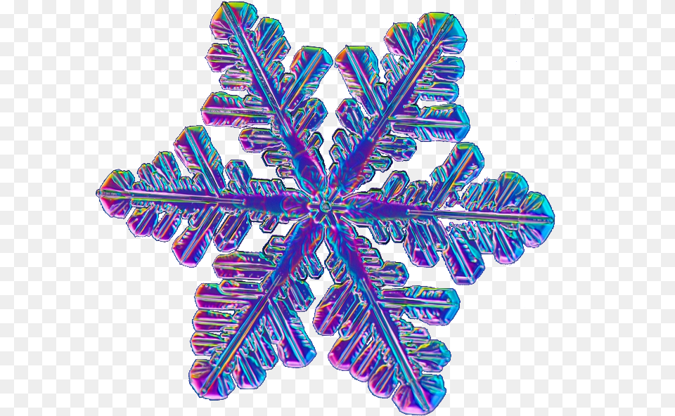 Trippyrainbow Snowflake This Was Requested Ion Trippy Snowflake, Nature, Outdoors, Plant, Purple Png