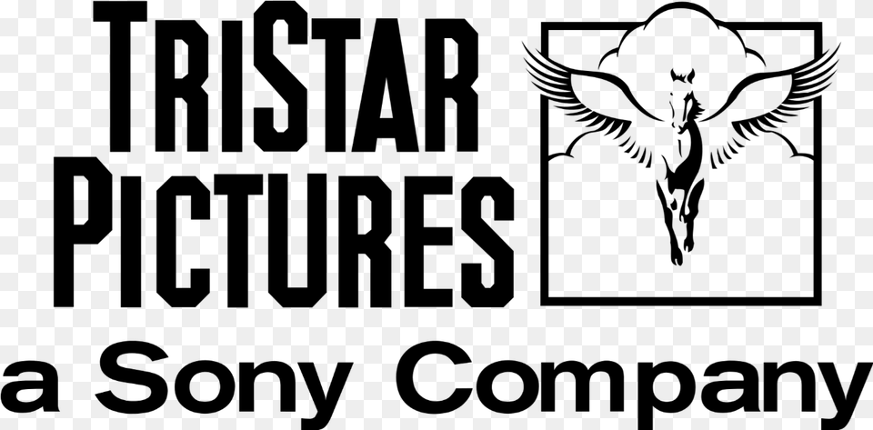 Tristar Pictures 2016 Current Print Logo Svg Tristar Pictures A Sony Company, Nature, Night, Outdoors Png Image