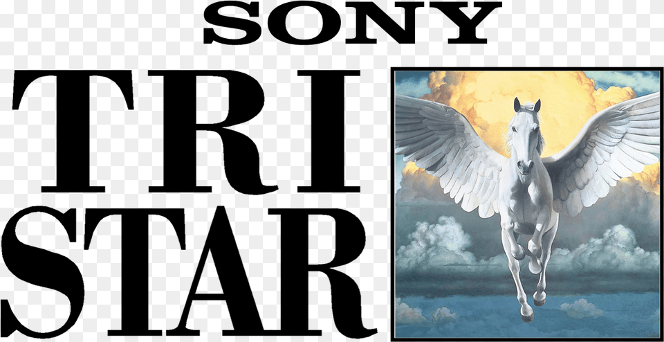 Tristar Pictures Logo, Animal, Bird, Flying, Horse Free Png