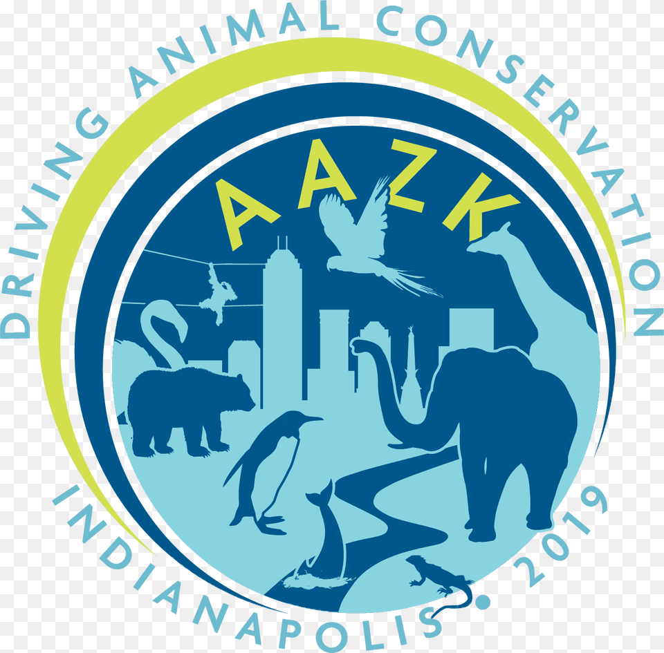 Trivia Night Indy Aazk, Animal, Bear, Mammal, Wildlife Png