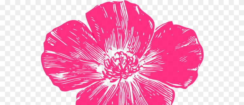 Trolls Flowers Golden Poppy Vippng Hot Pink Flower, Anemone, Anther, Petal, Plant Png