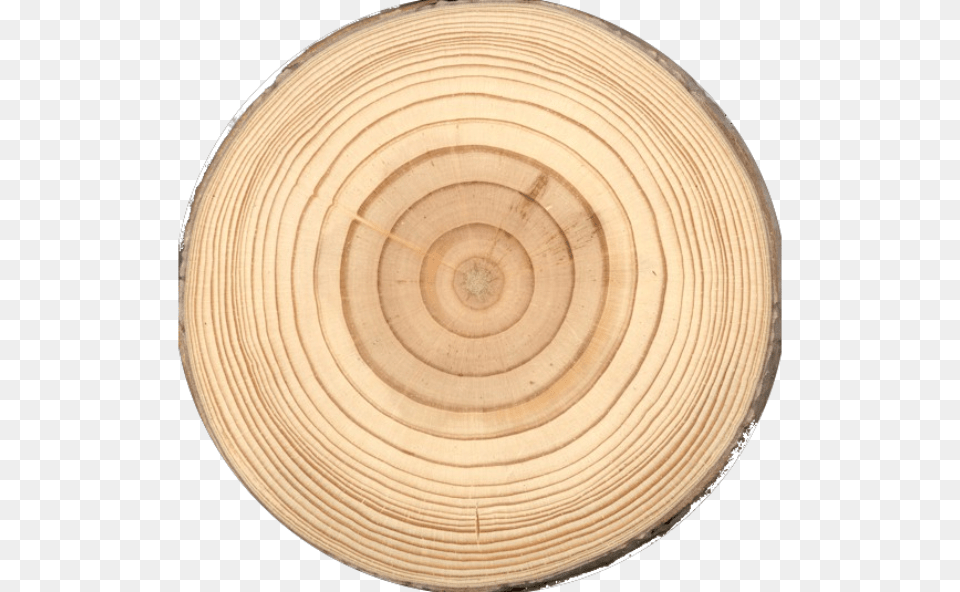 Tronco De Madera Tree Trunk Tree Rings, Lumber, Plant, Wood, Plywood Free Png Download