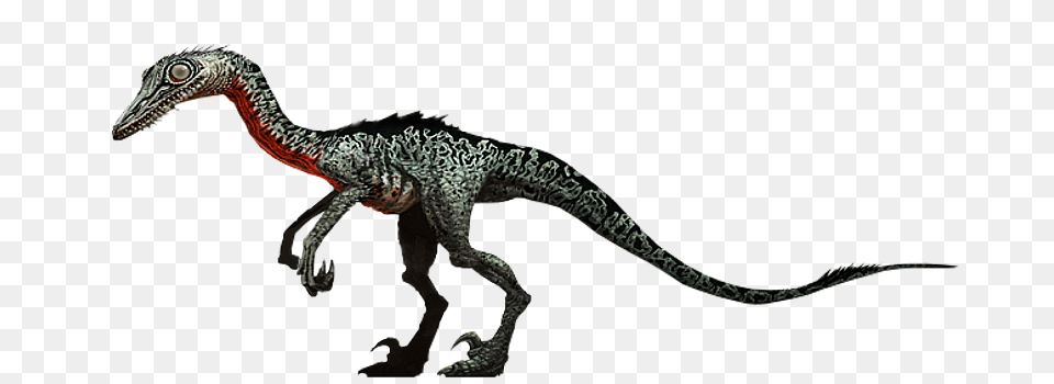 Troodon Jurassic Park Wiki Fandom Powered, Animal, Dinosaur, Reptile, T-rex Free Png