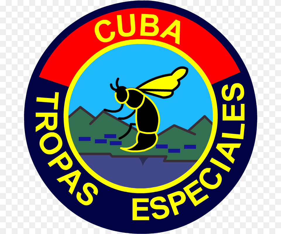 Tropas Especiales De Las Far Avispas Negras, Animal, Bee, Insect, Invertebrate Free Png Download