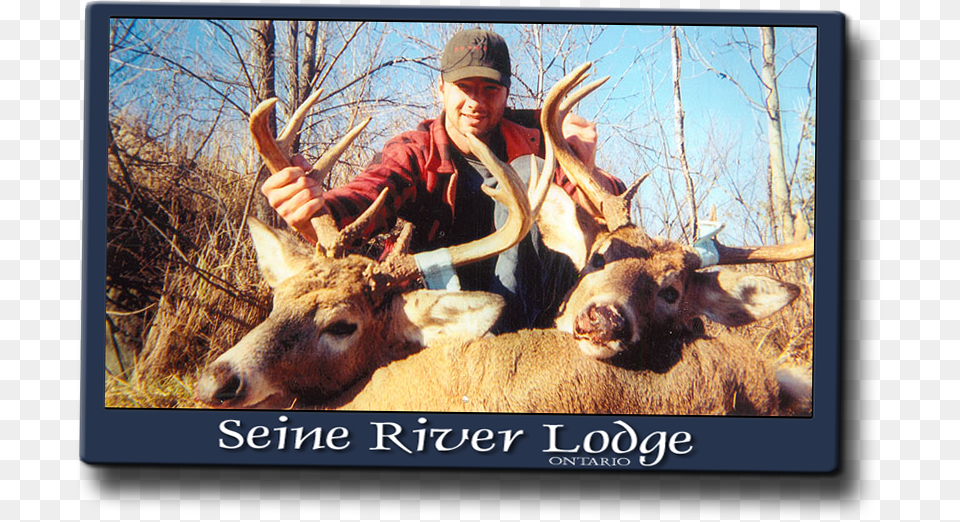 Trophy Hunting, Animal, Mammal, Wildlife, Deer Png Image