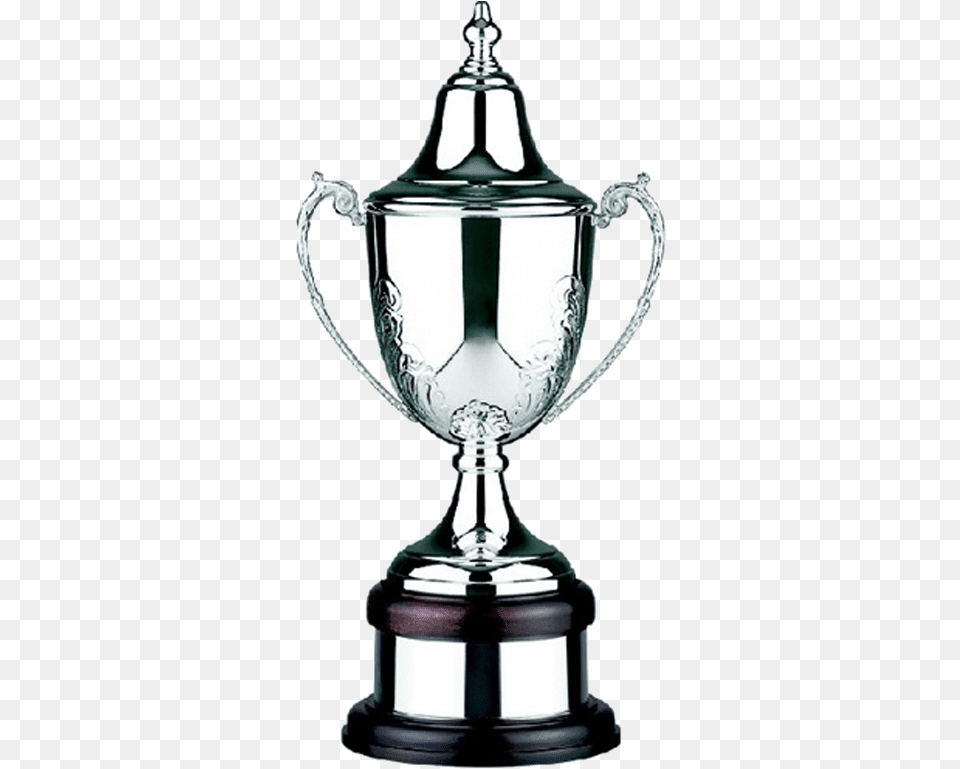 Trophy Icon, Chandelier, Lamp Png Image