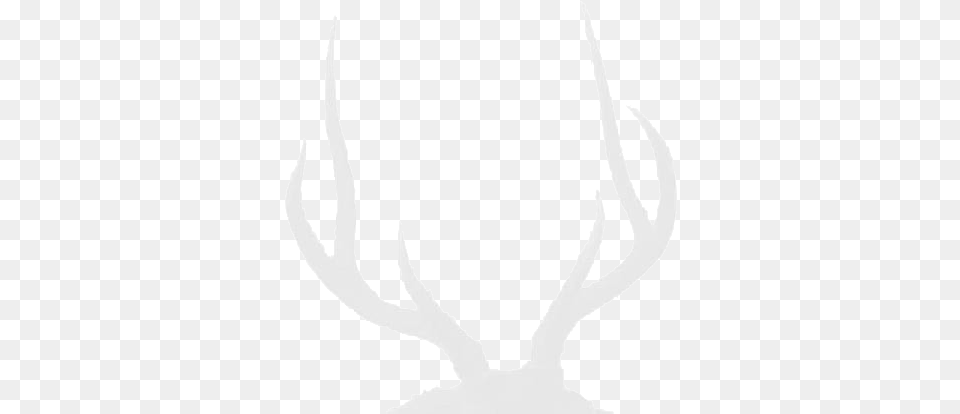Trophy Rusa Deer Hunting Elk, Antler, Stencil, Person Free Png Download